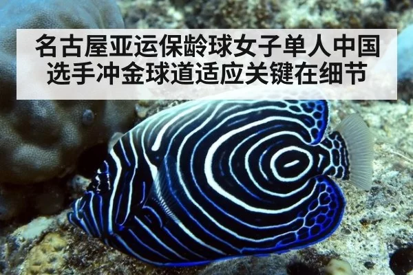 名古屋亚运保龄球女子单人中国选手冲金球道适应关键在细节