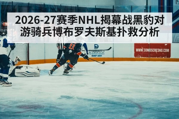 ice hockey rink action